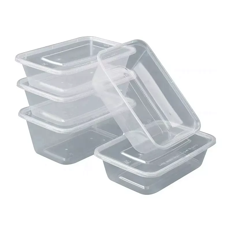 Mikrowellengeeignete Lunchbox aus Kunststoff